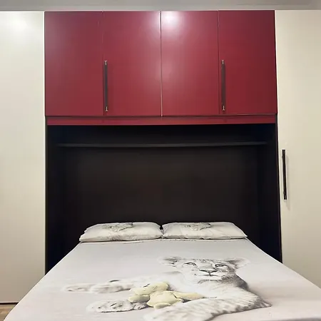 Affittacamere Federica House *